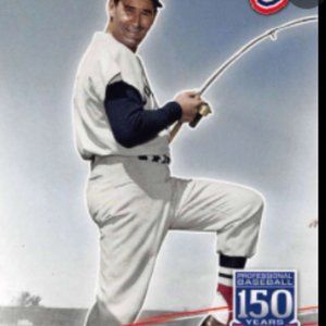 ted williams